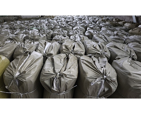 廠區(qū)環(huán)境